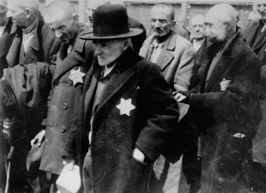 Jewish men from Subcarpathian Rus having undergone selection