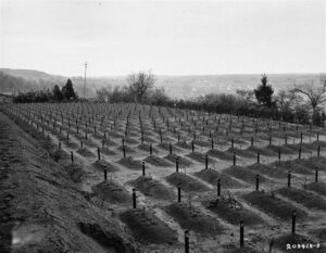 Massengräber auf Friedhof der Tötungsanstalt Hadamar zum Zeitpunkt der Befreiung 1945.